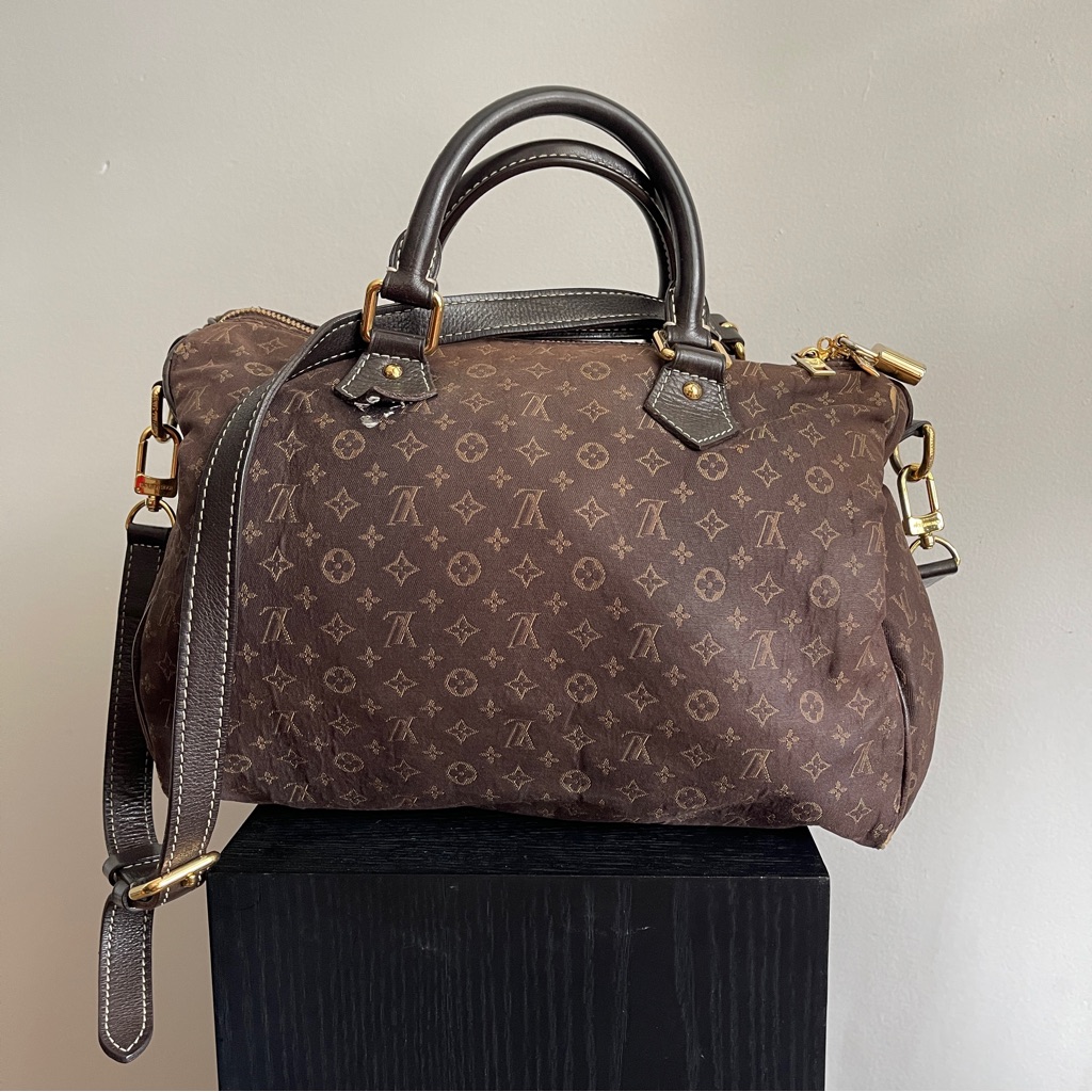 Monogram Mini Speedy